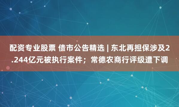 配资专业股票 债市公告精选 | 东北再担保涉及2.244亿元被执行案件；常德农商行评级遭下调
