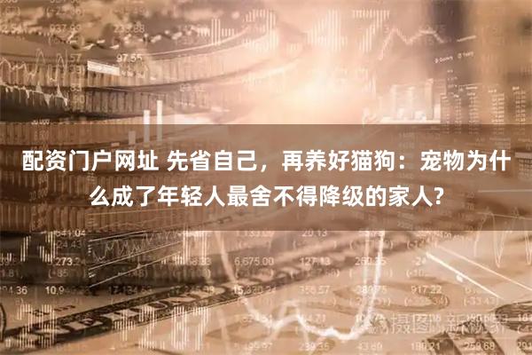 配资门户网址 先省自己，再养好猫狗：宠物为什么成了年轻人最舍不得降级的家人?