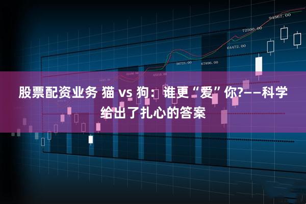 股票配资业务 猫 vs 狗：谁更“爱”你?——科学给出了扎心的答案